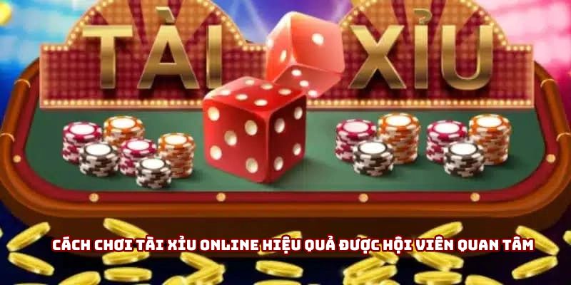 Cách chơi tài xỉu online hiệu quả được hội viên quan tâm