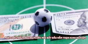 Mẹo cược thể thao cho người mới bắt đầu