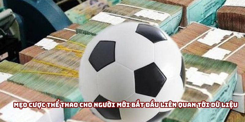 Mẹo cược thể thao cho người mới bắt đầu giữ bình tĩnh